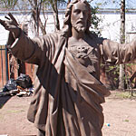 IMG_thumb5